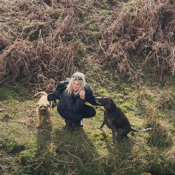 Professional dog walking and equine groom