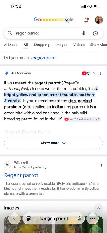 Regon parrot