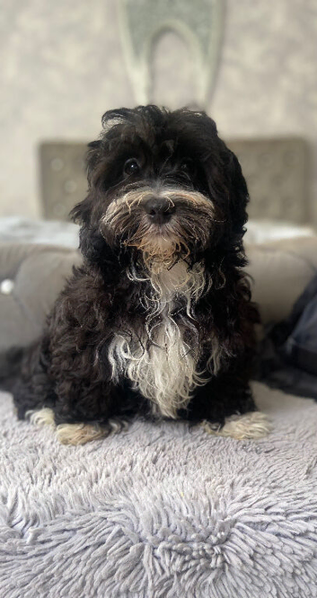 Beautiful boy