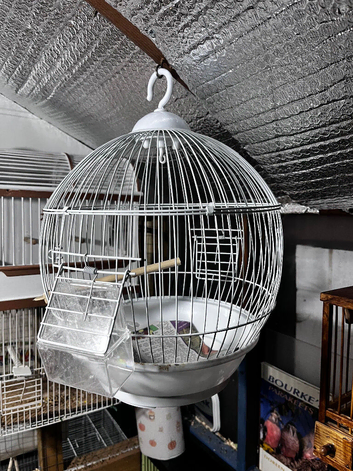 Hanging cage