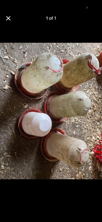 various poultry drinkers
