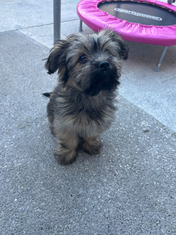 14 weeks old
