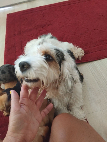 Doxiepoo