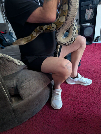 Female retic