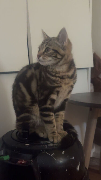 Rehome