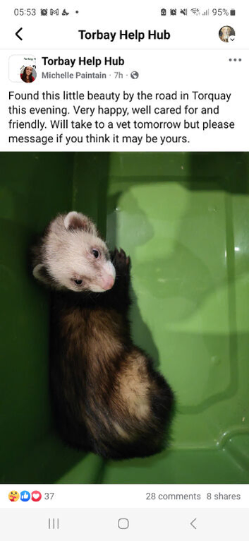 Polecat hob kits