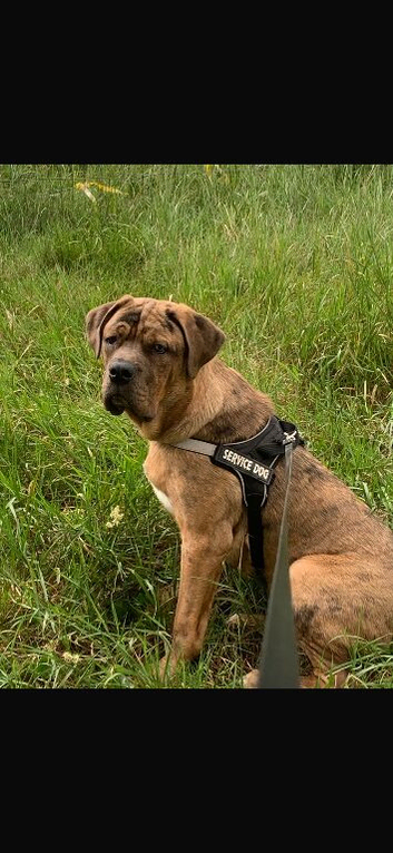 Milo