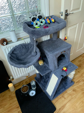 Cat / Kitten play / sleeping stand   Excellent condition loads of accessories
