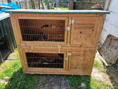 2 ferretts and double cage