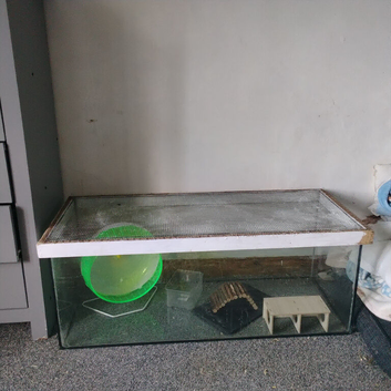 Hamster,gerbil, mice,cage,tank , aquarium