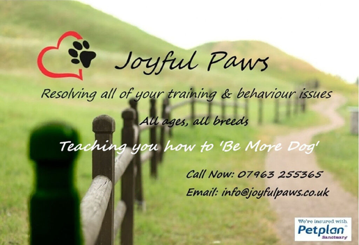 Struggling with your dog's behaviour?  Puppy biting you??