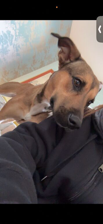 Urgent need of new home