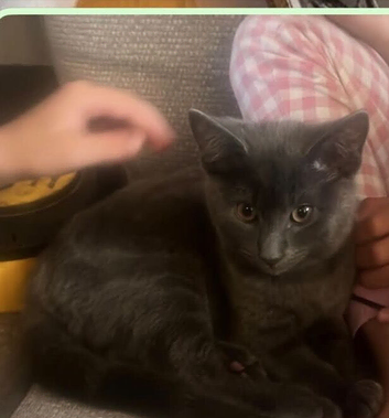 4 months female