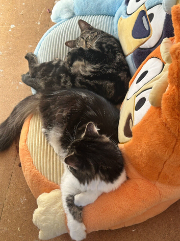 Freddie & Flo