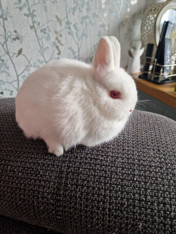Gorgeous baby girl