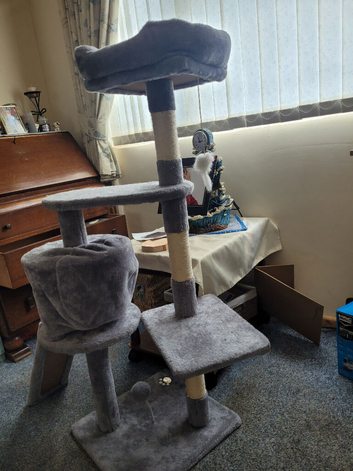 Cat bed cat carrier  basket  cat scratching tree