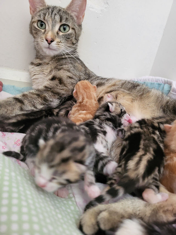 5 boys 1 girl