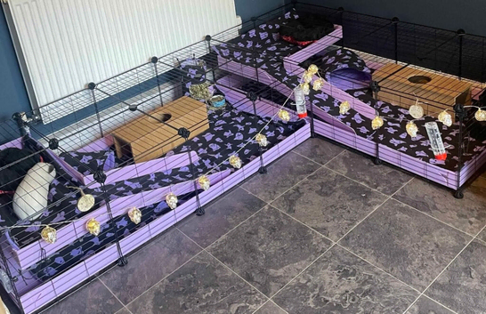 Cage liners C&C, Kavee , Midwest