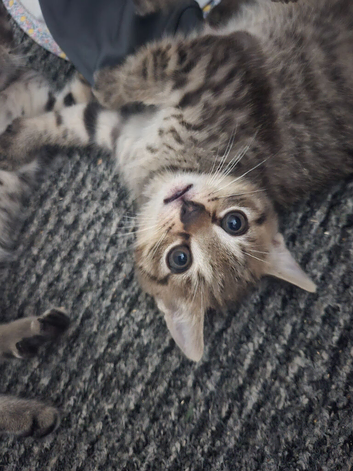 Gorgeous boy