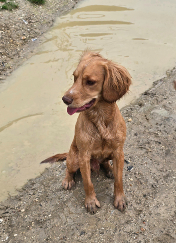 Handsome working boy