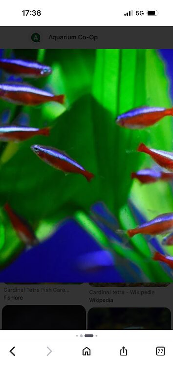 AQUARIUM SPECIALIST