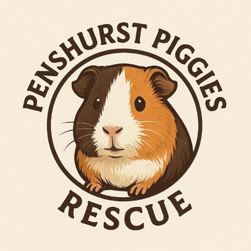 Penshurst piggies guinea pig rescue