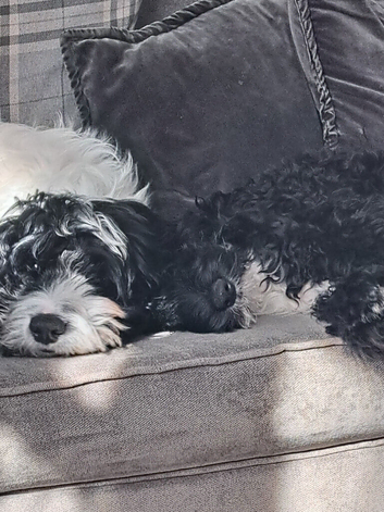 Milo