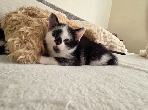 2lovely babies