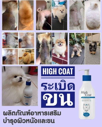 Addressing coat and skin issues across all dog breeds&mdash;particularly coat problems in Pomeranians&mdash;with a 100% effective treatment rate.