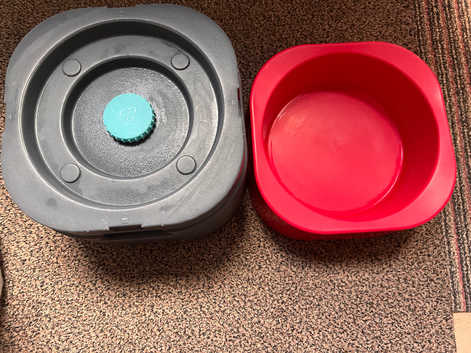 BOWL red raised for dog