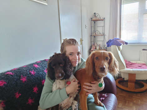 Pet sitting/walking