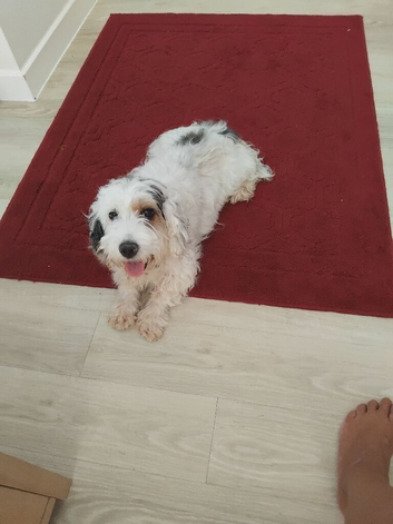 Last boy left looking for his new family