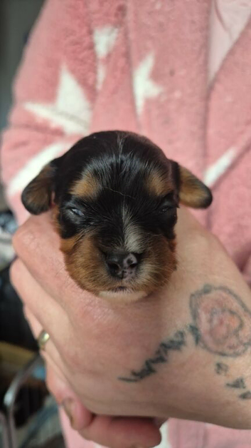 I have 2 gorgeous boys left