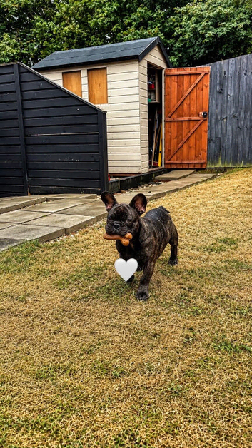Rehome