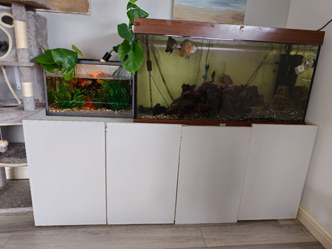 Full setup 400 litre tank plus fish