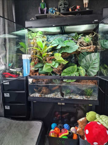 Zoo Med 90--45--90 Paludarium, Cabinet & Accessories