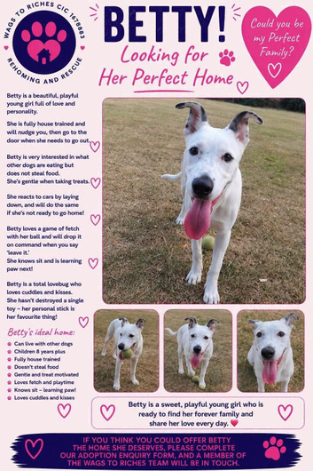 Meet Betty!