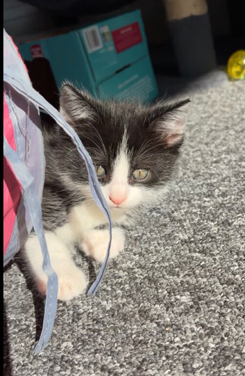 Beautiful baby boy
