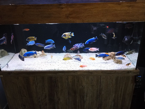 Please read 150gal tank