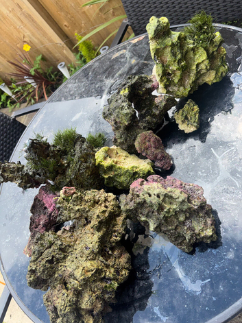 Bundle Of Marine Rock