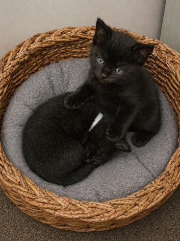 Batman and Robin
