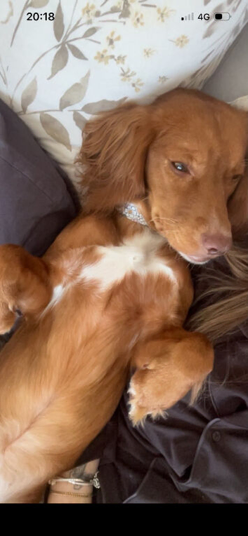 11 month old