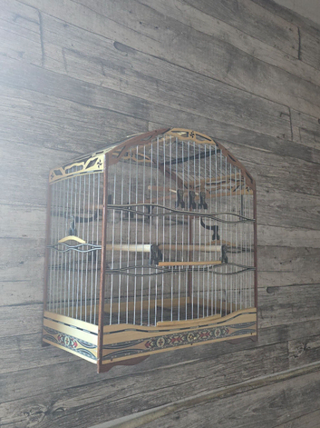 Fancy goldfinch or mule cage