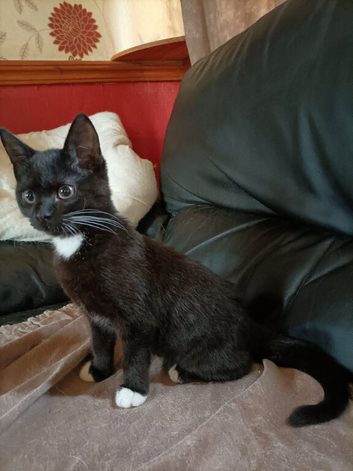 Black and white female