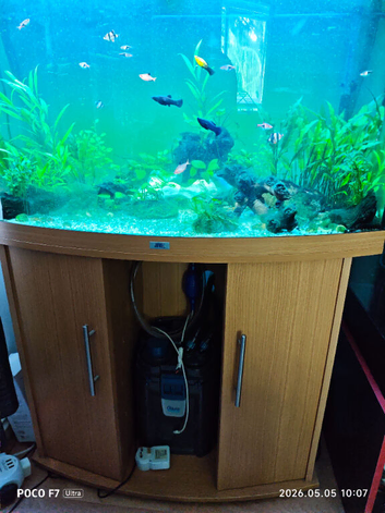 Selling 190 Juwel Tank + Oase Bio Master filter