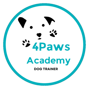 Dog training classes