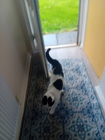 Need to rehome