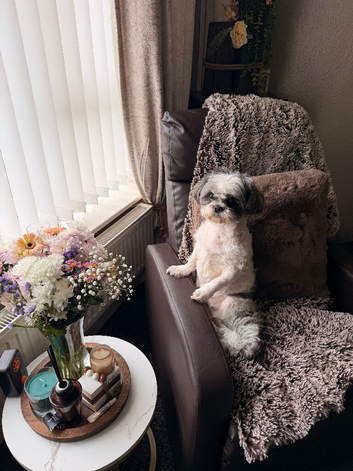Rehome