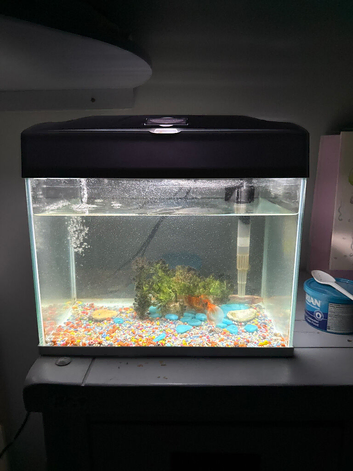 **Small Aquarium for Sale &ndash; Fully Equipped**