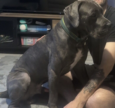Kona